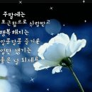 사랑님 - 김용임 이미지