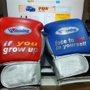 아이러브복싱 이미지