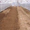 평강농장 이미지