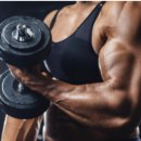 산호헬스 이미지