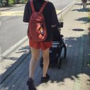 오렌지브릭 | 포테 하이드슬롯 클래식 백팩 오렌지 브릭 후기, 기저귀 가방 드디어 정착?