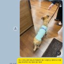 (주)제이케이 월드 모터스 | 미니쿠퍼 컨버터블 베어링 리콜 + 냉각수 부동액 누수로 센터 방문했어요, 수리비 점검 소요시간 후기