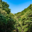 별하나펜션 이미지