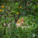 유유자적 이미지