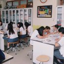 고한중학교 이미지