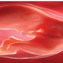 우리 아이 사회성 플러스 이미지