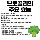 금릉슈퍼 | 금릉헬스장 1주일간 브로콜리 매일 먹었더니… 몸에서 벌어진 ‘눈에 띄는’ 변화