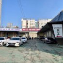 에이스 자동차 종합 이미지