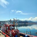 선상상회 이미지