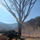 금이당 - 양천구 목동중앙본로32길 39 | 금이당