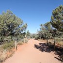 (주)성십자 이미지