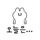 몬스타캣 네이버블로그