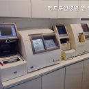 베드로안경원 이미지