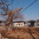 강호경로당 이미지