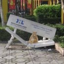 코봉이해물찜 이미지