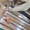 서울럭스치과의원 이미지