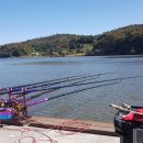 백학저수지 이미지