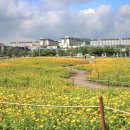 서광리-8 이미지