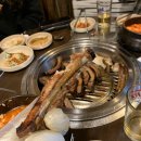 우리동네순이카페 | 신설동 맛집/신가네 왕코등갈비 본점 5시 방문 솔직후기