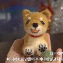 니들펠트 이미지