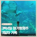 부영목장 | 아기랑 제주여행 3일차 서귀포 숙소 부영호텔 아쿠아플라넷 대한목장