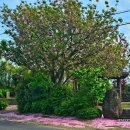 선흘1리 경로당 이미지