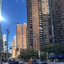 현대센트럴파크 | 보틀, 그랜드센트럴터미널, MET 현대백화점앱 무료...르뱅쿠키와 센트럴파크, 울프강스테이크하우스 후기