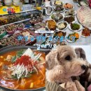 이서시장 | 화성 궁평항 수산시장 &#34;갈매기호&#34; 내돈내산 후기 ( 애견동반 비추)