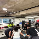 대상복싱체육관 이미지