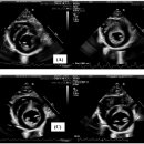 이(e)서울내과의원 이미지