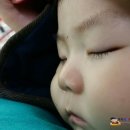 창동식자재마트