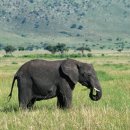 상아무역 이미지