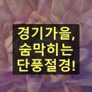 이포보강변펜션 | 경기도 가을 여행 가을의 아름다움이 펼쳐지는 특별한 여행