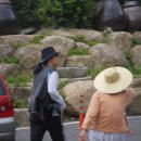 용준농장 이미지