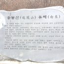 3월 2주차 홍성 용봉산 산행후기 이미지