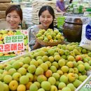 전의농협 하나로마트 뉴스1