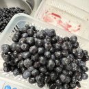 장산농원님 블루베리 2kg 이미지
