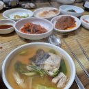 복군물메기 이미지