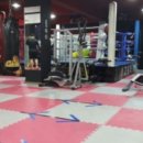 고릴라 복싱 이미지