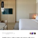 더강릉포레 | [여행후기] 2026년 1월 강릉 여행 및 신라 모노그램 강릉 호텔 1박 2일 숙박 후기(feat. 용평 애니포레...