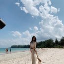 오연서 카카오 검색결과