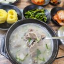 효자동순대국밥 | [포항 효자동 맛집] 국물이 끝내주는 '박수현네 돼지국밥' 솔직후기 (순대국밥, 섞어국밥에 꼬물이만두...