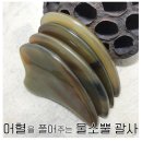 코코린느 이미지