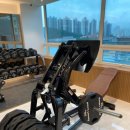 얼라이브 짐 이미지