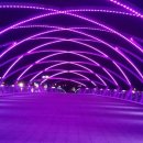 솔바람오토캠핑장 이미지