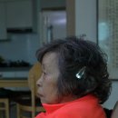 규성농장 네이버블로그