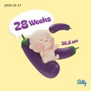 럭키세탁마을 | [임신 28,29주차] 임신 후기 시작 (태동변화 • 링크맘용인 • 코셋코셋 기저귀가방 • 백일해주사...