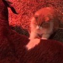 해준농장 이미지