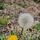 김재식농장 이미지