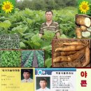 이성규농장 Daum카페